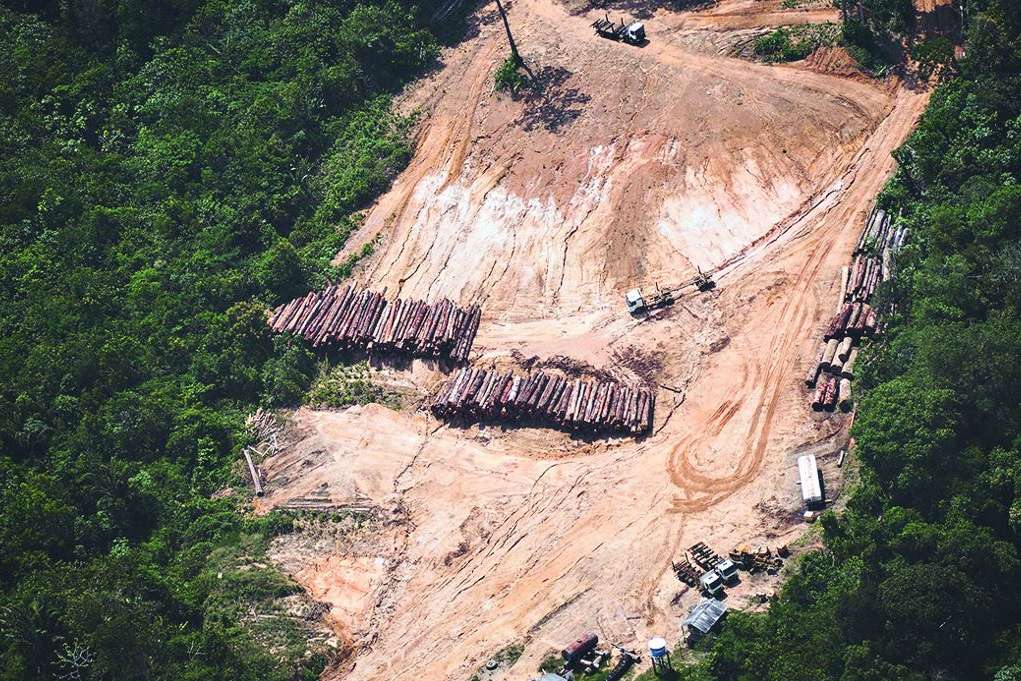 Leia mais sobre o artigo Política pró-desmatamento de Temer custará US$ 2 tri ao país