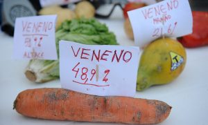 Read more about the article Ministério da Agricultura libera o uso de mais 42 agrotóxicos