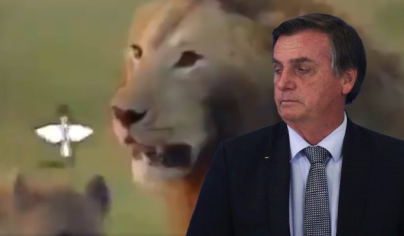 Read more about the article O “leão” fascista Bolsonaro explicita a sua ameaça de golpe