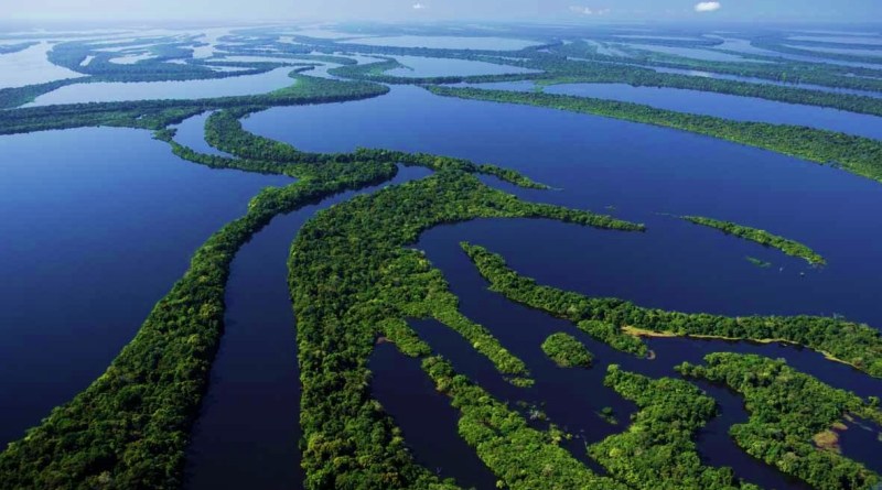 Leia mais sobre o artigo Embratur avalia que crise da Amazônia gerou “prejuízo muito grande”