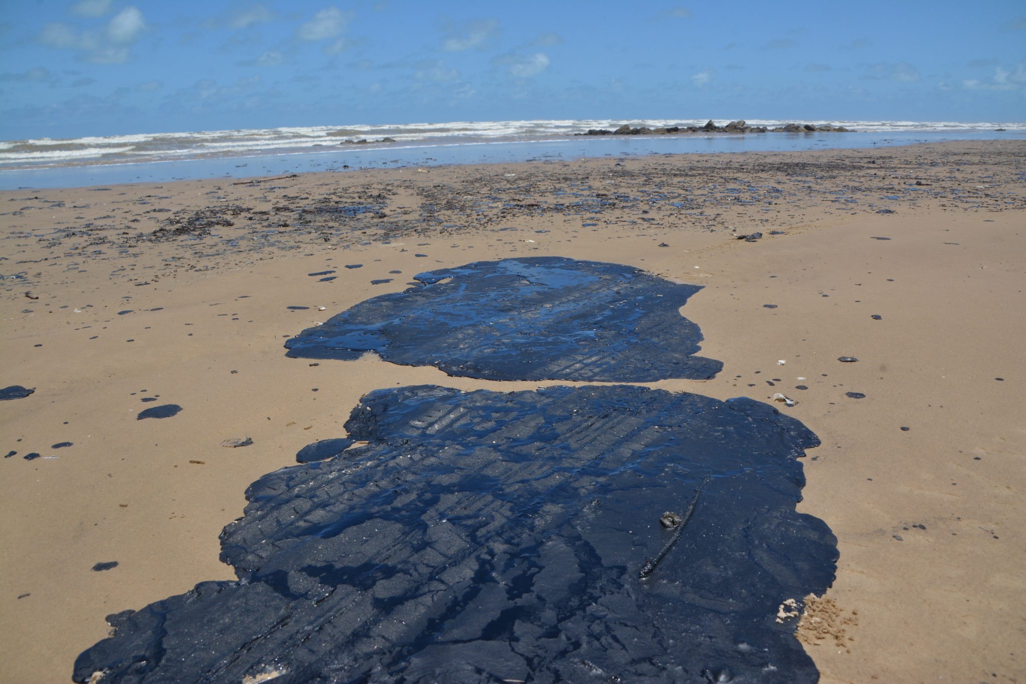 Leia mais sobre o artigo “O pior ainda está por vir”, afirma Bolsonaro sobre vazamento de óleo
