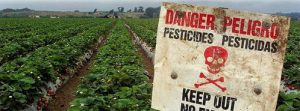 Read more about the article Pesticida da Syngenta contamina a água dos brasileiros
