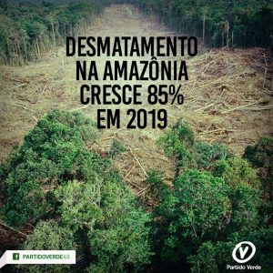 Leia mais sobre o artigo Com Bolsonaro, desmatamento na Amazônia cresce 34%