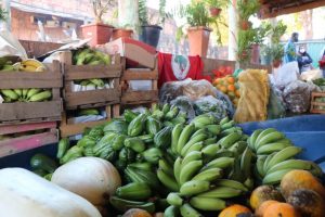 Read more about the article Movimentos populares distribuem 2 toneladas de alimentos em Montes Claros (MG)