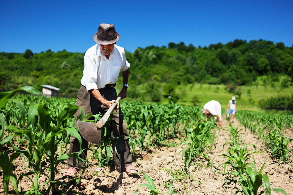 Leia mais sobre o artigo Bolsonaro veta Lei de incentivo à agricultura familiar, a Lei Assis Carvalho