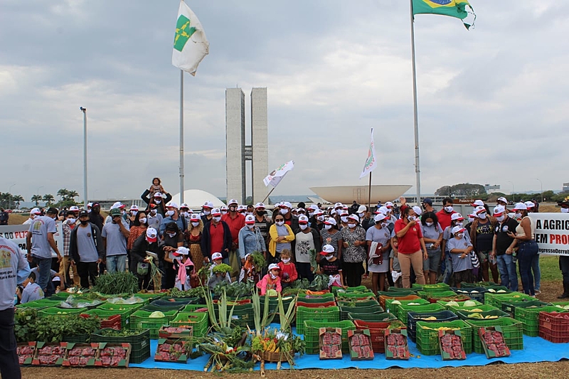Read more about the article Agricultores pressionam Congresso pela derrubada de vetos de Bolsonaro a auxílio